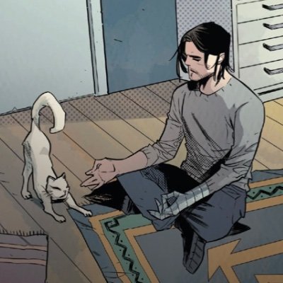 bucky barnes and cats