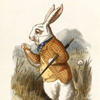 white rabbit (@whiterabbit_f) Twitter profile photo