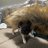 TimTim__Timmy's profile image