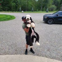 BSwigg (@bswigg) 's Twitter Profile