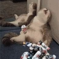 abcc88888's profile picture. 