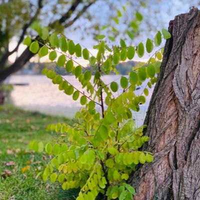 arolling22's profile picture. follower of the Great Counselor 🧡 mom to two redheads 🧡 newbie cyclist 🧡
