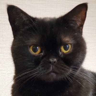 ダイヤモンド社で書籍の編集をしています。ジャンルは経営、会計、ビジネス実用、投資・マネー、自己啓発、英語ものなど。