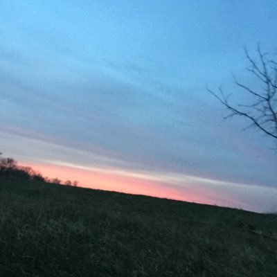 Ecbppd1's profile picture. 