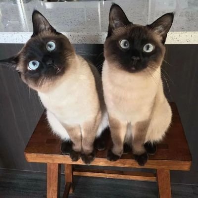 pennywise_eth's profile picture. Eth. Web3.0
