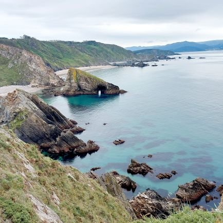 PallaOscar's profile picture. 