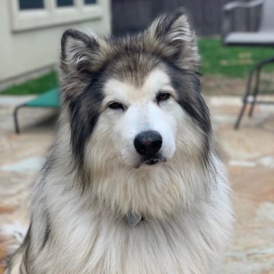 itsalwaysdayone's profile picture. 