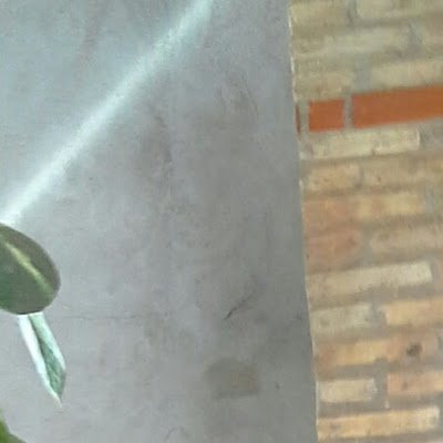 AngelSa42211206's profile picture. Rare za