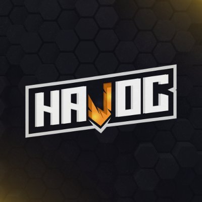 Havoc 🐝 Profile