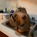 Candace Buck - @CandaceBuck18 - Twitter