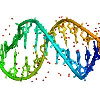 dna-seq (@just_dna_seq) 's Twitter Profile Photo dna-seq (@just_dna_seq) 's Twitter Profile Photo