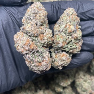 Top grade medical marijuana strain and all it products for stoners,migraine, pains,arthritis, anxiety,PTSD, etc. we do discreet home deliveries