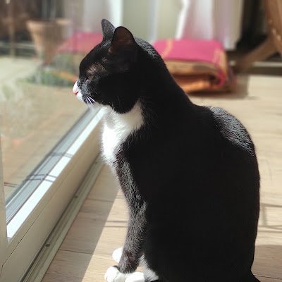 JBlueT3's profile picture. 