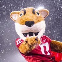 Butch T. Cougar (@butchtcougar) 's Twitter Profile