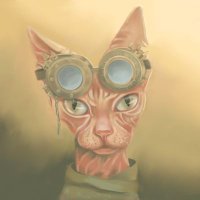 Samantha Queen (@_samanthaqueen) 's Twitter Profile