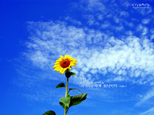 lovelyjinni's profile picture. 