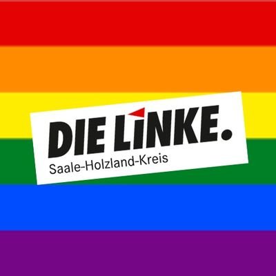DIE LINKE im Saale-Holzland-Kreis