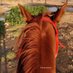 ᴺᴼᴶᴼᴼᴰ🕊🐎 (@nojoody2012) Twitter profile photo ᴺᴼᴶᴼᴼᴰ🕊🐎 (@nojoody2012) Twitter profile photo