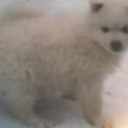 Mary Crowe - @MommaC123 - Twitter