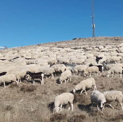 Estar en contacto continúo con la Naturaleza y el ganado