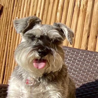 p_22480's profile picture. 