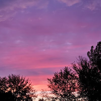 SkyB101_'s profile picture. They/Them