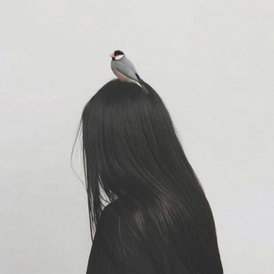 pommeさんのプロフィール画像