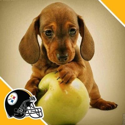 JorgeSoteroMor1's profile picture. 