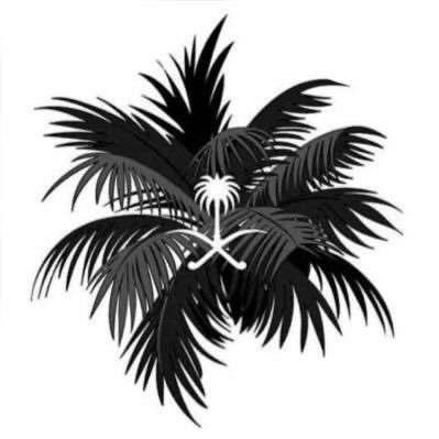 sa2022sa's profile picture. 
