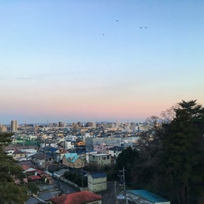 tonkatsu_umaine's profile picture. 広告やＵＩのデザイナー／ディレクター／PM