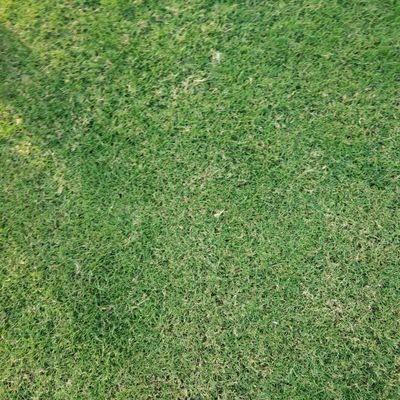 Vib0747's profile picture. 