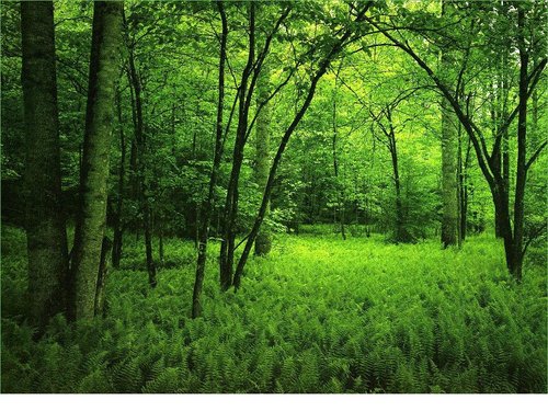 TechFin007's profile picture. 