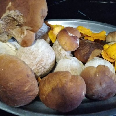 Ameraun1's profile picture. Por la Paz y la cultura