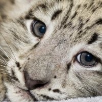 Nadia Mijiddorj (@mijiddorjnadia) 's Twitter Profile Photo Nadia Mijiddorj (@mijiddorjnadia) 's Twitter Profile Photo