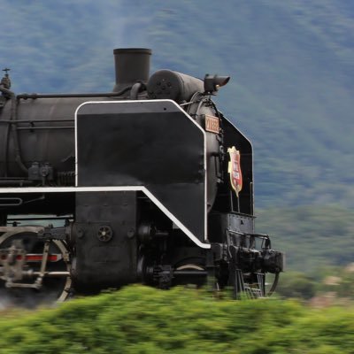 ThomasFang12's profile picture. 日本語勉強中