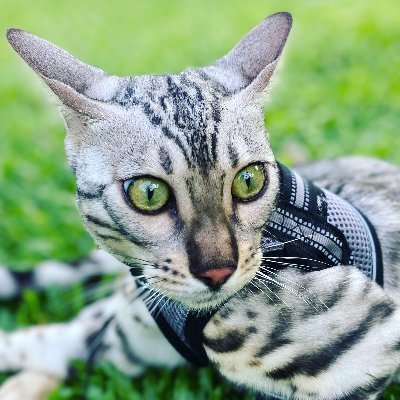 CetinichBrent's profile picture. https://t.co/3RF1wSbEma