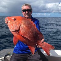 Peter Clements (@petercl34918080) 's Twitter Profile