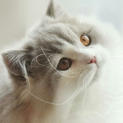 i99eu's profile picture. ⠀⠀⠀⠀⠀⠀⠀⠀⠀⠀⠀⠀⠀⠀ ⠀⠀⠀⠀⠀⠀⠀⠀ ⠀⠀⠀⠀⠀⠀⠀⠀⠀⠀⠀⠀⠀⠀⠀⠀⠀ ⠀⠀⠀⠀⠀⠀⠀⠀⠀⠀⠀⠀⠀⠀ ⠀⠀⠀⠀⠀⠀⠀⠀⠀⠀⠀ ⠀⠀⠀⠀⠀⠀⠀⠀⠀⠀⠀⠀ ⠀⠀⠀⠀⠀⠀⠀⠀⠀⠀⠀⠀⠀⠀ ⠀⠀⠀⠀⠀⠀⠀⠀⠀⠀⠀⠀⠀⠀⠀⠀⠀⠀⠀⠀⠀⠀⠀⠀⠀⠀⠀⠀⠀⠀ ⠀⠀⠀⠀⠀⠀⠀⠀⠀⠀⠀⠀⠀⠀⠀⠀⠀ ⠀⠀⠀⠀⠀⠀⠀⠀⠀⠀⠀⠀⠀