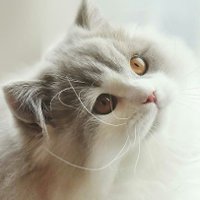 it (@iteaa3_) 's Twitter Profile Photo