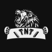 🦁 ITNTI 🦁 (@itnti_fc) Twitter profile photo