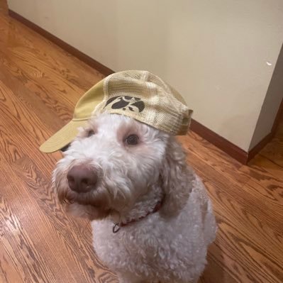 Kinnick21 Profile Picture