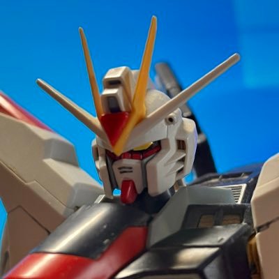 緋色さんのプロフィール画像