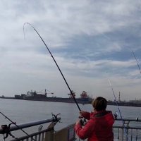 tsuritter🎣翔也 (@tsuritter2) 's Twitter Profile