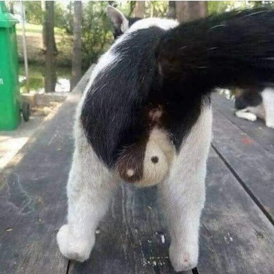 CrasKhi's profile picture. 