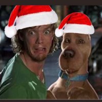Aussie_Cunt (@aussie_cunt17) 's Twitter Profile