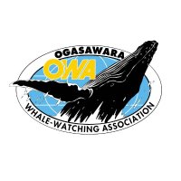 小笠原ホエールウォッチング協会【公式】 (@owa_ogasawara) 's Twitter Profile Photo 小笠原ホエールウォッチング協会【公式】 (@owa_ogasawara) 's Twitter Profile Photo