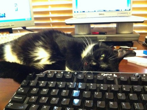 rosezzr600's profile picture. What Would Pooh Do?