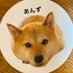 NAHOKO (@anzubakkari) Twitter profile photo NAHOKO (@anzubakkari) Twitter profile photo