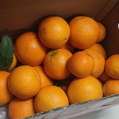 GXPue8VZ5i8tTH7's profile picture. 