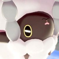 Cy (@cy_cr_) 's Twitter Profile
